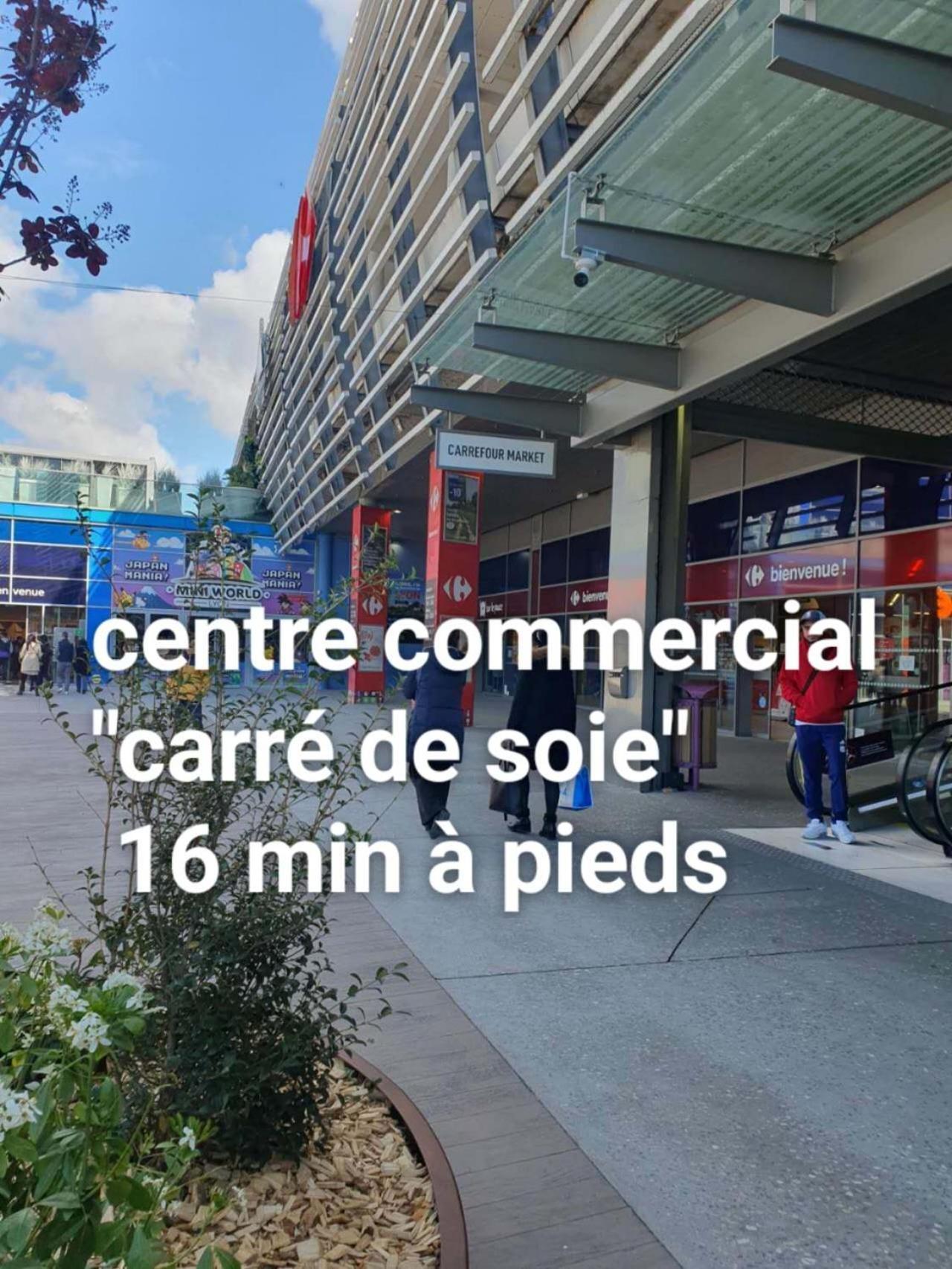 Medipole T2 Avec Un Garage Gratuit Sur Place, 16Min A Centre Ville Lyon En Metro A Villeurbanne Extérieur photo